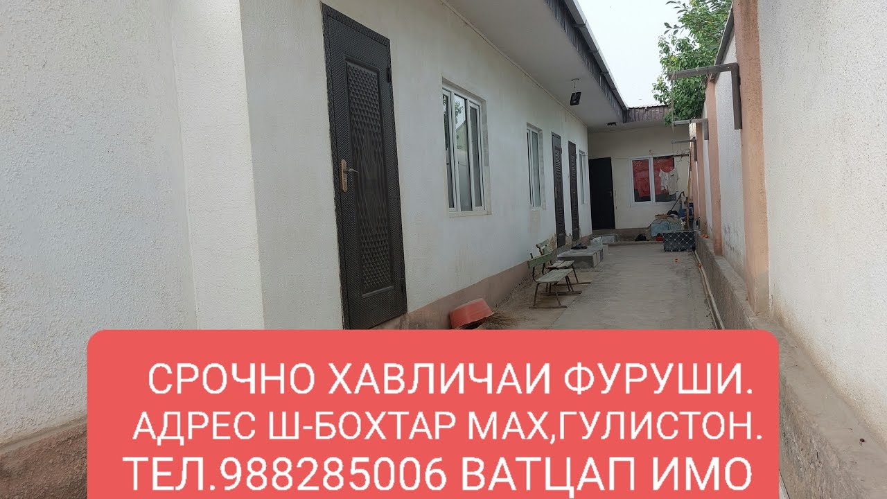 Сомон тч нексия бохтар