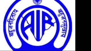 All India Radio News Chennai Live Stream screenshot 4