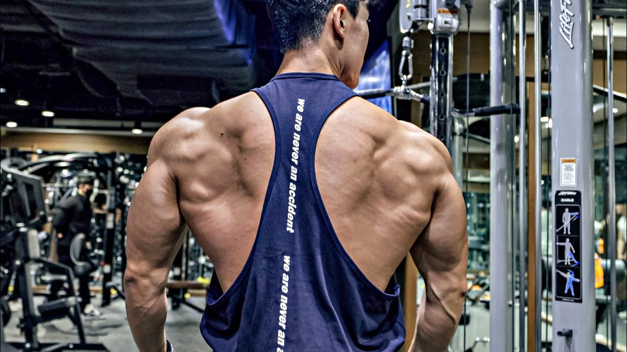 넓고 강한 등을 갖게해준 기본 운동 5가지 (등운동 실전편)