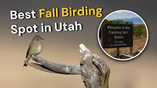 Information Why This Ranch Might Be Utah's Best Fall Migration Spot Guide