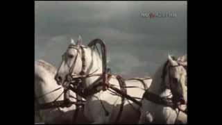 Мчатся кони... (1972) Мчатся кони... (1972)