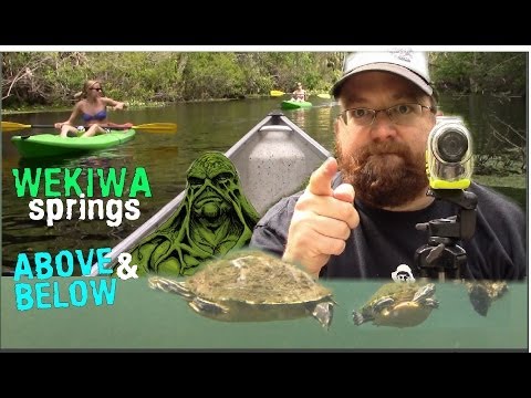 WEKIWA SPRINGS FLORIDA - ABOVE AND BELOW THE WATER! - Matt's Rad Show, Episode 29