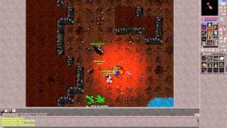 Tibia - Bot Pk - Wasp (HD)