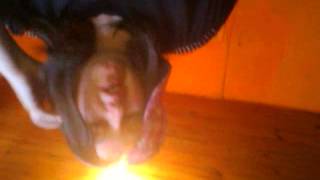Capture 20131117 3