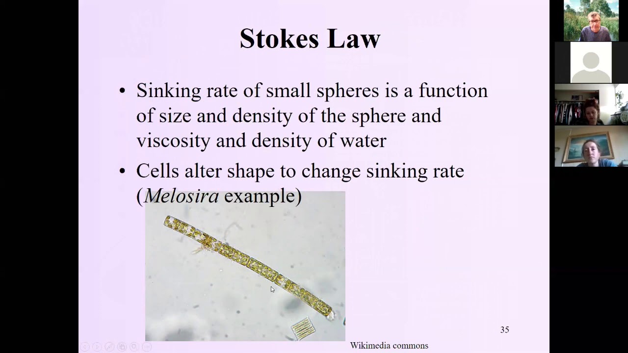 Properties of water Freshwater ecology, chapter 2 part b YouTube