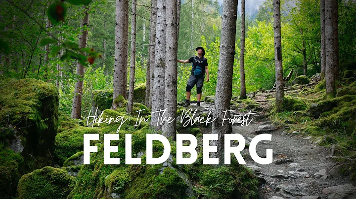 Feldberg | Hiking The Black Forest Highest Peak