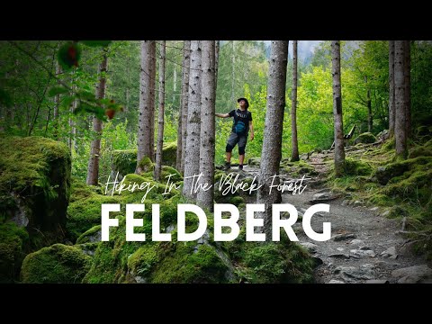 Fun Things to Do in Feldberg | Travel Guide (2024) | Best Places to Visit