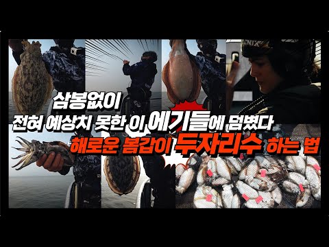 풍낚TV 갑오징어낚시/6월5일 해로운 봄갑 두자리수 찍는법/삼봉없이 예상치 못한 에기들의 연속히트/봄갑오징어 운영법/채비법/군산리더호/Cuttlefish fishing