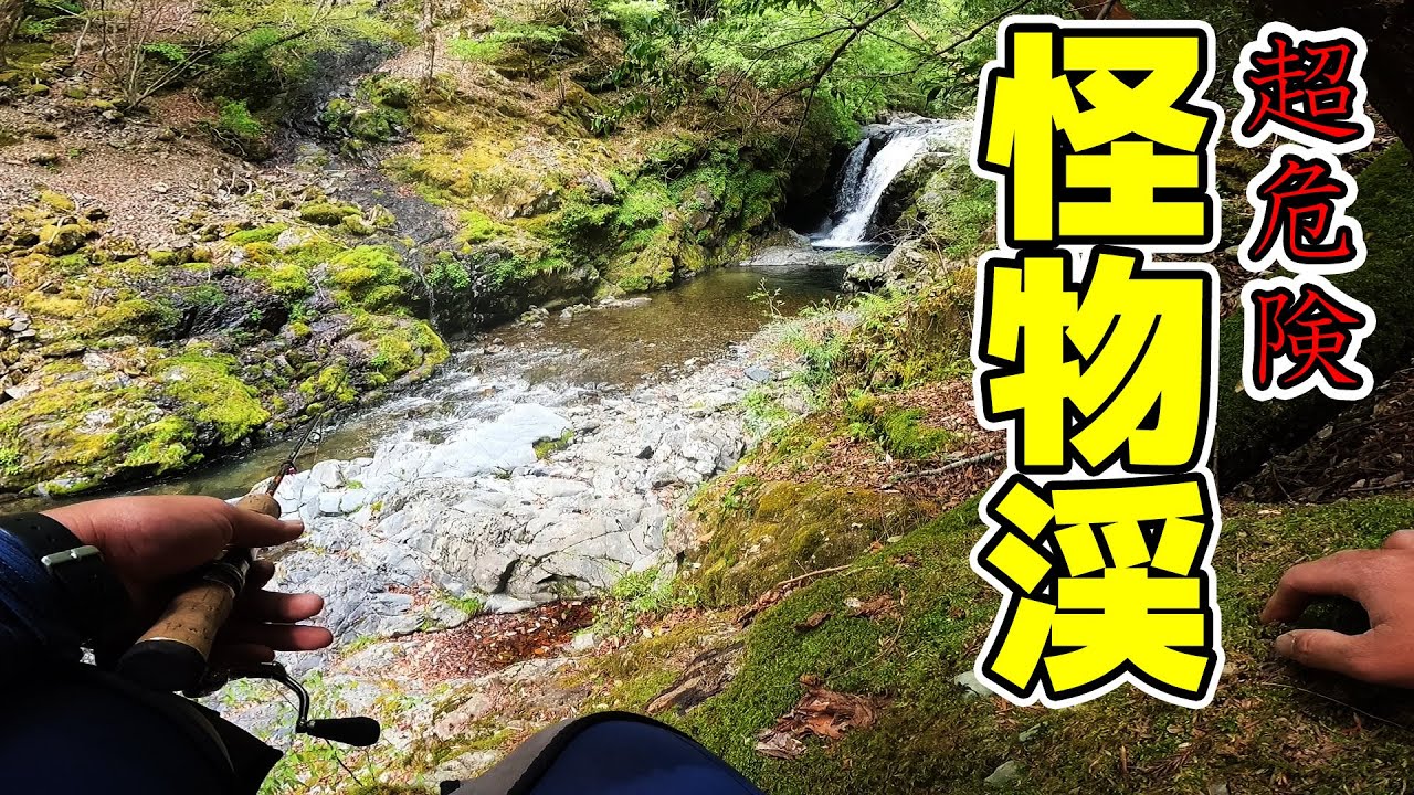 怪物級のヤマメがウヨウヨ泳いでいる秘境の渓へ行ってみた。A river where you can catch monster-class fish