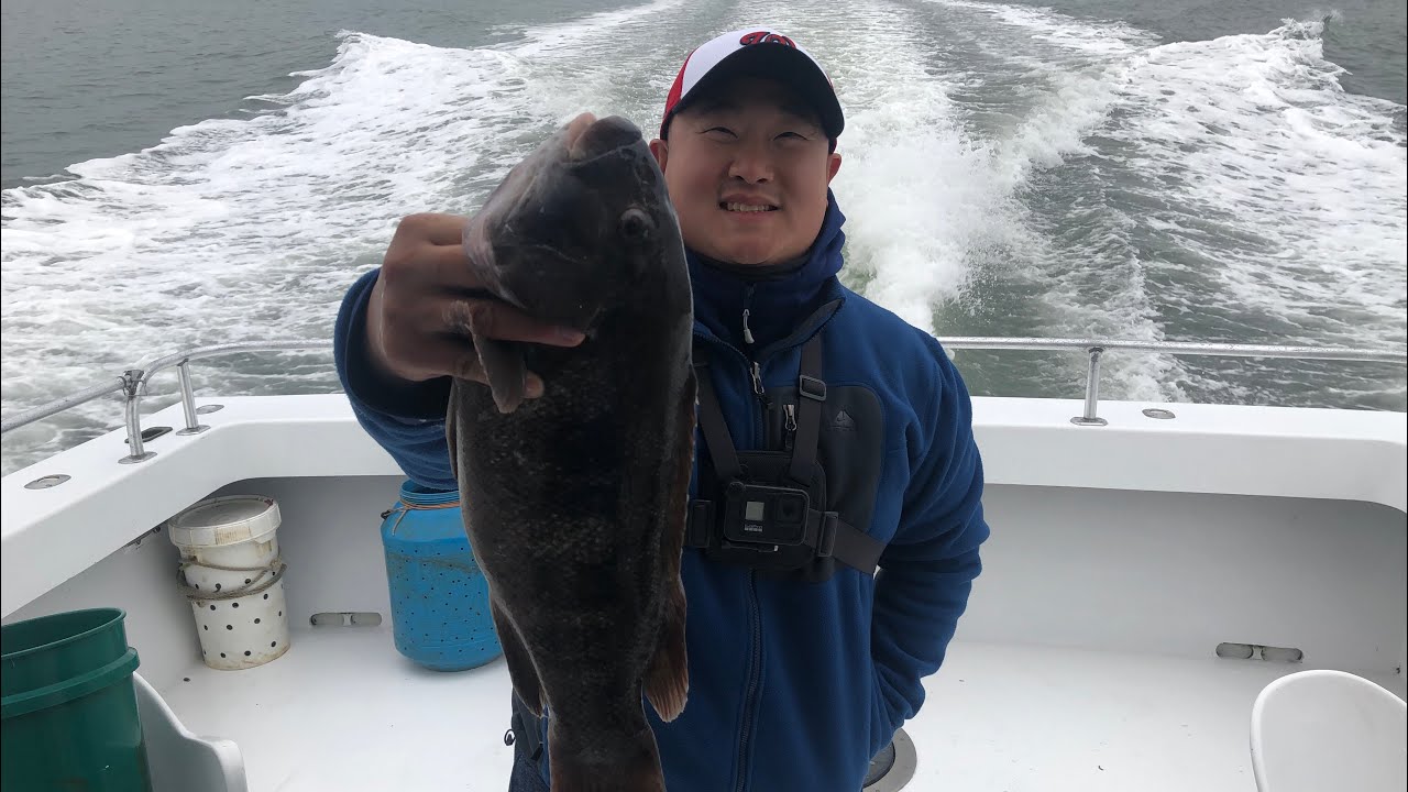 AMAZING DELAWARE TAUTOG SASHIMI CATCH & COOK