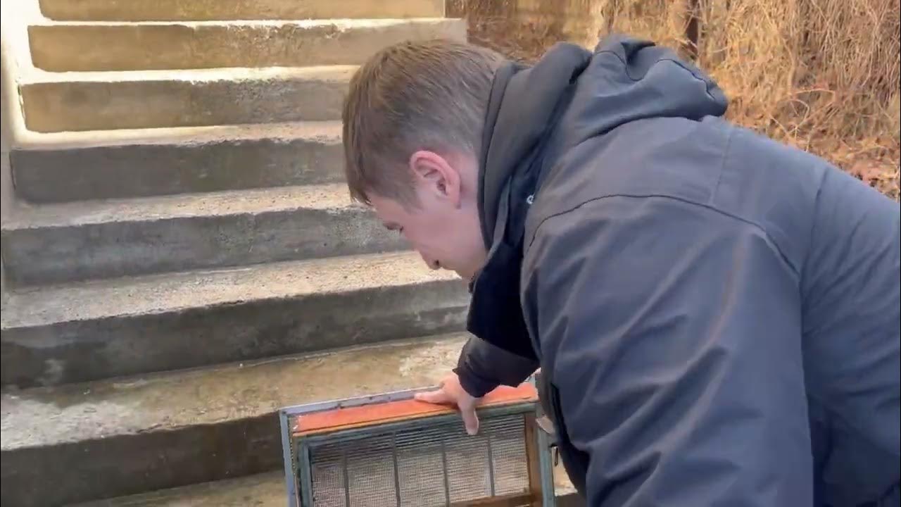 Чищу мисочки Никот - YouTube