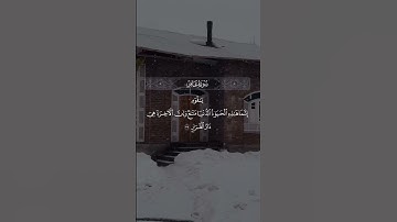 سورة غافر - ماهر المعيقلي