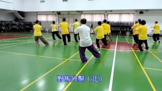 太極拳拳譜 64式第二段 空大 陳炎峯老師 九元子 錄 字幕 2015 10 24