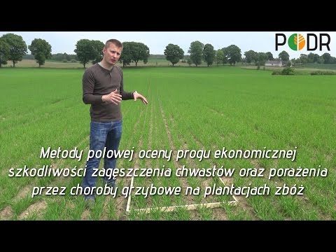 Wideo: Jaki jest próg ekonomiczny?