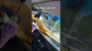 Que habrá comido el pajarito? 😢 #humor #automobile