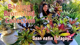 Bromeliad Vertical Wall Garden// Bagong Collection // Sarah G. Smith