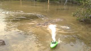 3d printed rc jet boat jumping 3d shed