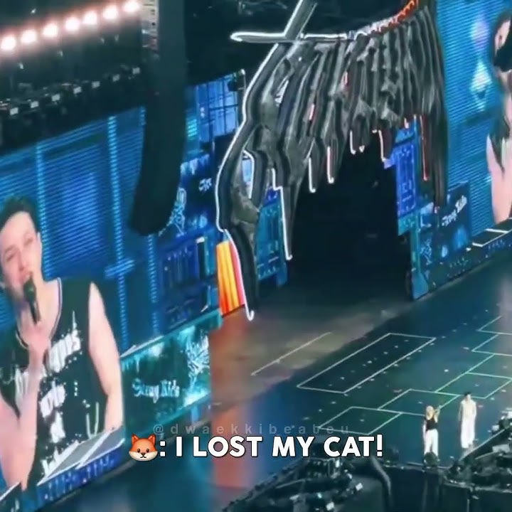 I.N lost his cat 😭💞