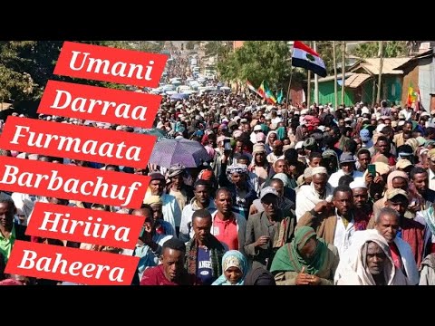 Hiriira Nagahaa Umani Aanaa Darraa Haala Kanaan Bahaniru