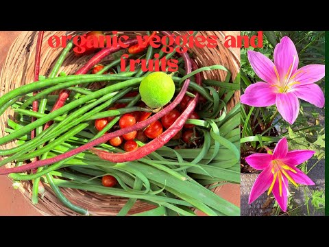 Exotic organic veggies