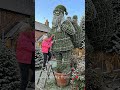 I Grew a Giant Santa Claus Topiary in My Snowy Christmas Cottage 🎅❄️ #topiary #gardenhacks #gar
