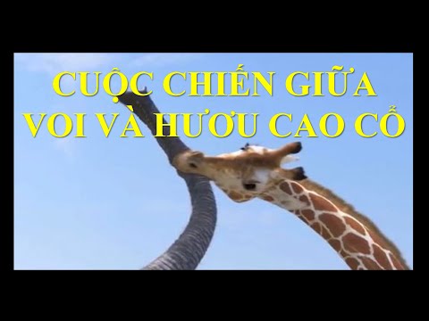 Video: Cây Chống Hươu ở Khu 9 - Chọn Cây Chống Hươu cho Vườn Khu 9