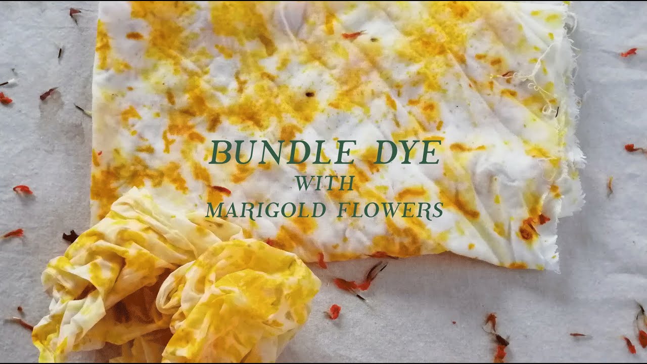 HOW To BUNDLE DYE With MARIGOLD FLOWERS Step By Step At Home HOW To BUNDLE DYE With MARIGOLD FLOWERS Step By Step At Home