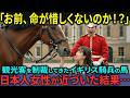 【海外の反応】「馬が日本人にだけ見せた驚きの反応…」英騎兵隊も絶句した“心の交流”とは【日本称賛】