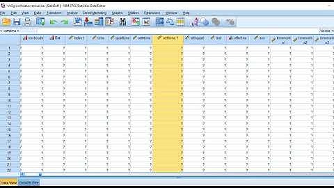 Growth curve modeling using SPSS (Video 5 Orthogonal coding and modeling cross-level interactions)