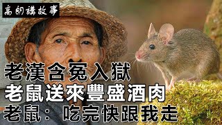 民間故事老漢含冤入獄老鼠送來豐盛酒肉老鼠吃完快跟我走高朗講故事