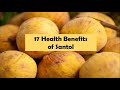 17 Health Benefits of Santol