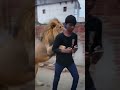 #trendingn #viralvideo #paltu-lion🦁🦁🦁