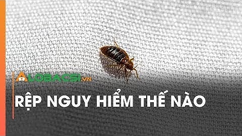 Rệp nguy hiểm thế nào