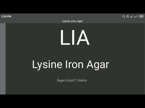 L.I.A : Lysine Iron Agar