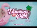 Irene Acosta - FLAMINGO PINK  (Video Oficial)