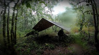 Sleep alone in the forest Was hit by a rainstorm while setting up a tent