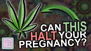 Can you smoke pot when TTC? Some REALLY surprising findings about marijuana and fertility