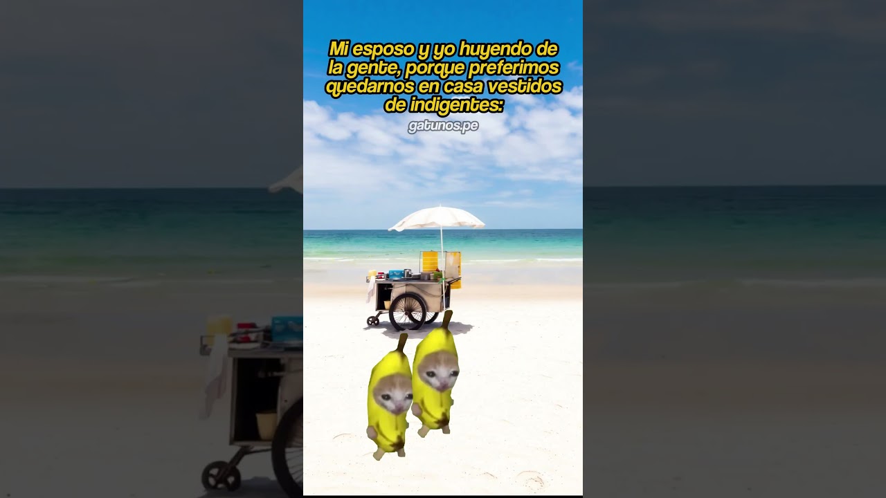 Así es 😂 #gatitoslindos #storytime #cat #gato #funnyvideo #fyp #memes #humor #michis #viral