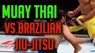 Muay Thai vs  Brazilian  jiu-jitsu in UFC (Barboza vs DARIUSH)