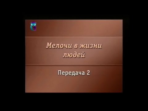 Видео: Согревают ли перья птиц?