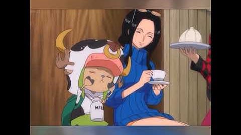 Robin Offers Chopper to take a bath, Brook & Sanji Devastated!! (#shorts)