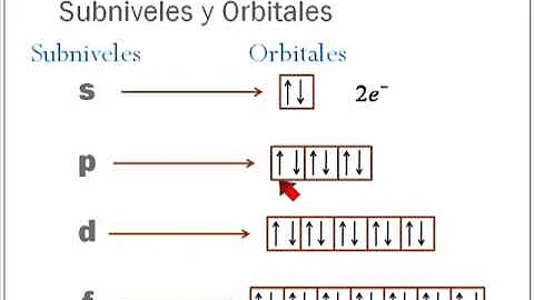 ¿Cuáles son los subniveles principales?