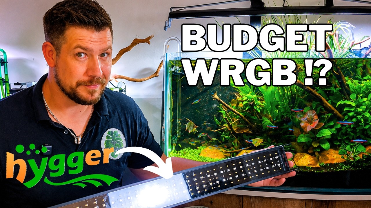 I Finally Upgraded My Aquarium Lighting! | Hygger HG075 Review