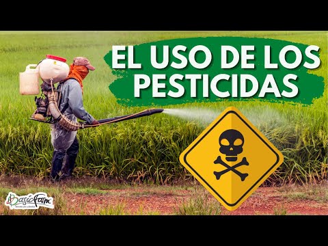 Video: Uso adecuado de pesticidas - Cómo usar pesticidas de manera segura y efectiva