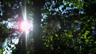 Mercyme - The First Time (with Lyrics) Fisher of Men