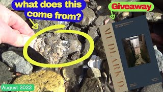 Mudlarking the River Thames w\/Nicola White \& Malcom Russell (August 2022)