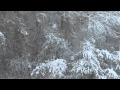 По следам Волхвов (Po sledam Volkhvov) - Снег (Snow)