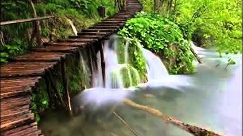 تعليم للأطفال سورة الشمس مكررة 3 مرات ماهر المعيقلي