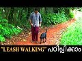 dog training : dog training :