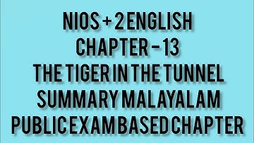 NIOS + 2 English / Chapter 13 The Tiger in the Tunnel